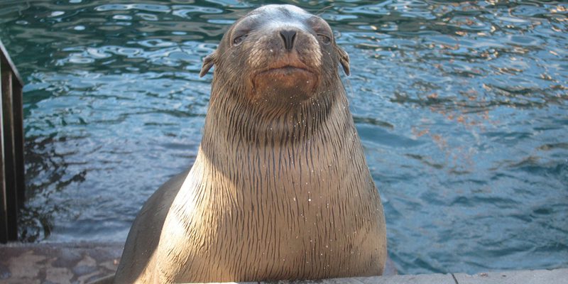 Puerto Baquerizo Moreno, San CristÛbal, Galapagos, Ecuador
