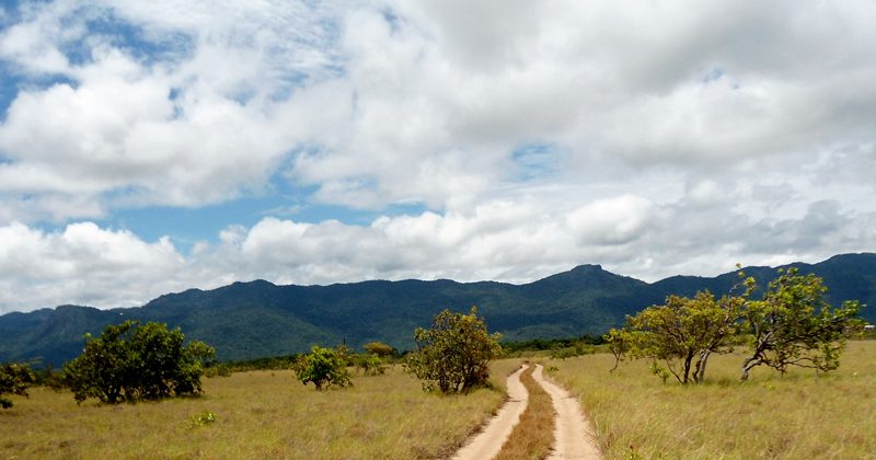 guyana guide tours - Anna M