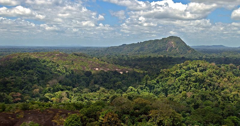 guyana guide tours -David Evers