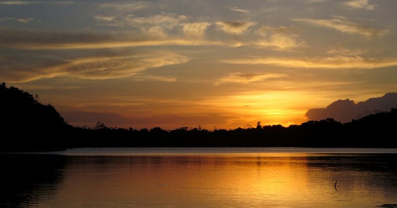 guyana guide tours -David Stanley3