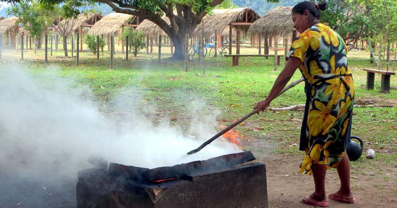 guyana guide tours -David Stanley_edited-1