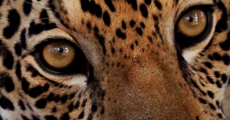 guyana guide tours -Rustom Seegopaul