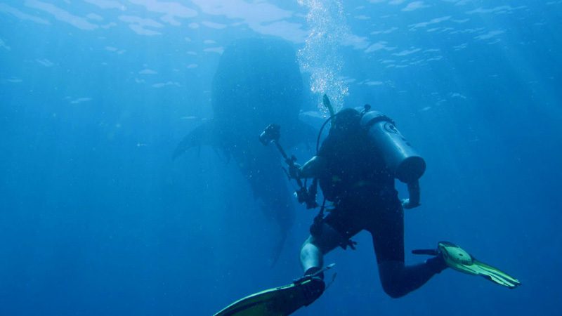 Man vs fish. Image Marcel Ekkel, Flickr 