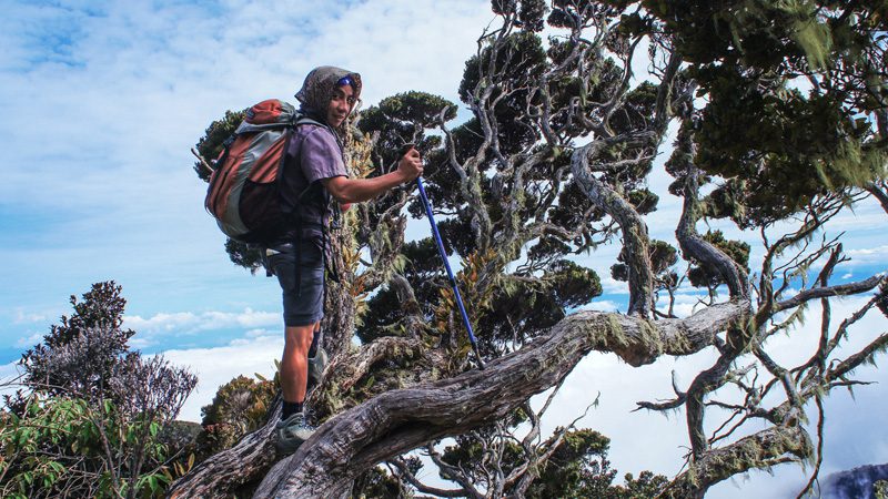 Robbi on Kinabalu.