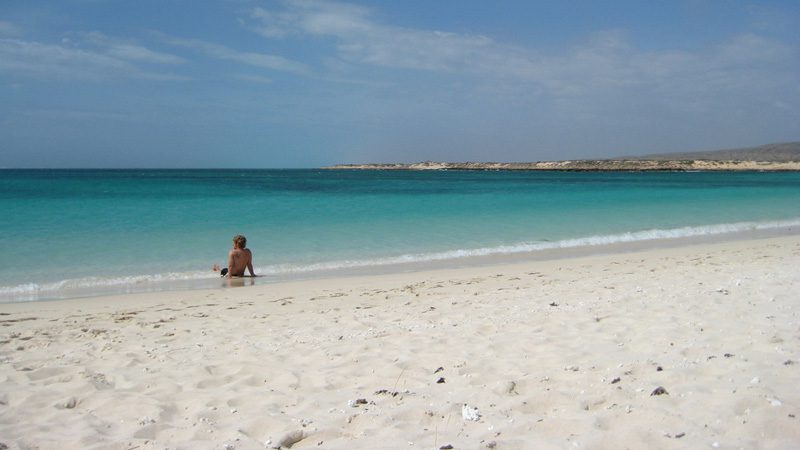 Eat your heart out, Queensland. Image Sebastian and Tyson, Flickr 