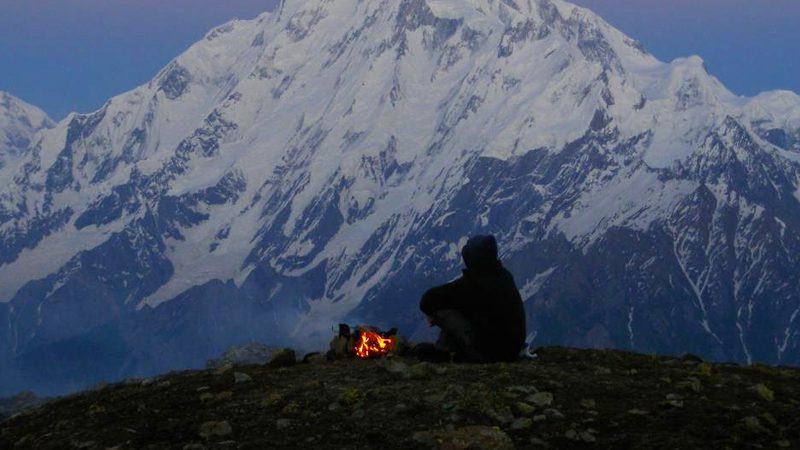 Isn't this genetically pleasing? We think so. Image c/o frontierofficial, Flickr