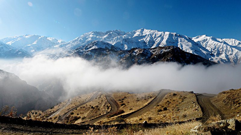 alborz---credit-harveypekar84