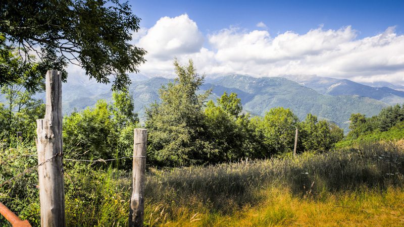 canal---gerard-mengerink