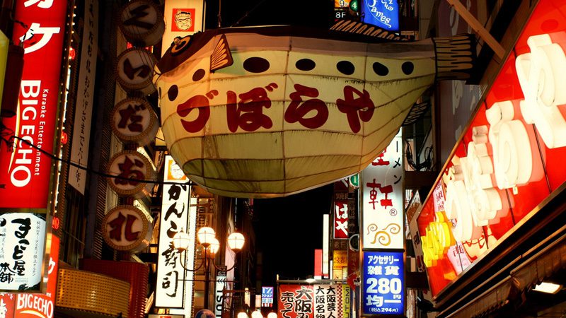 fugu---credit-Jeroen-Elfferich