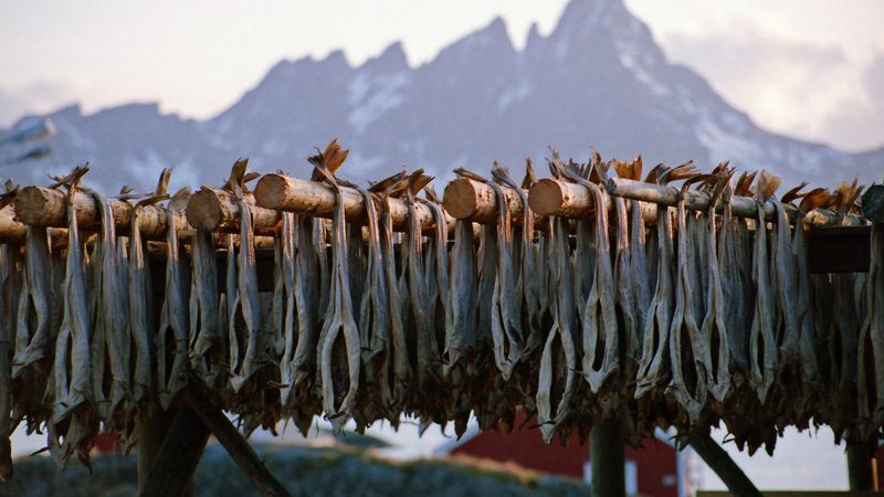 lofoten-islands-stockfish---credit-Ib-Aarmo