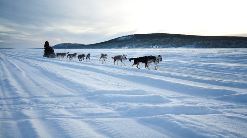 lulea-husky-ride---credit-TheCameraGirls