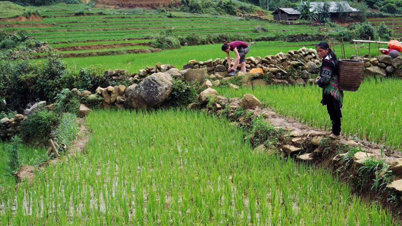 sapa---nathan-o'nions