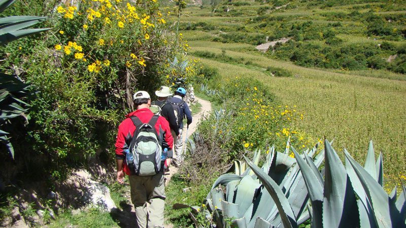 quarry-trail---diego-barra-3