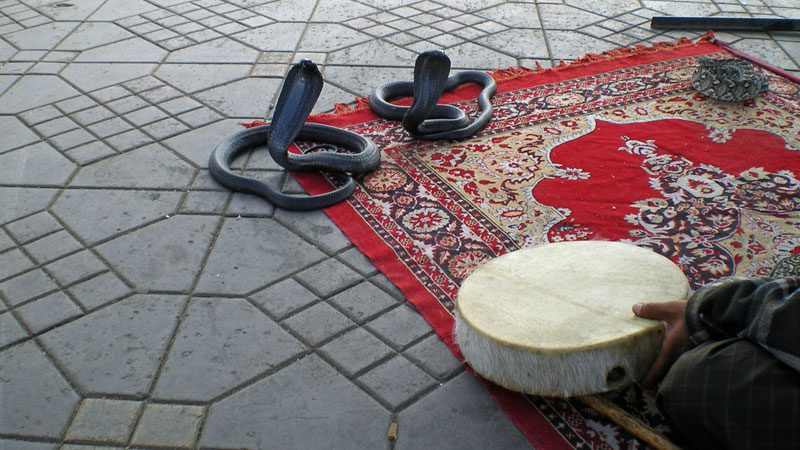 snake-charming---ali-catterall