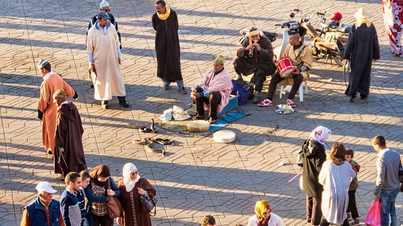 snake-charming---dan-lundberg