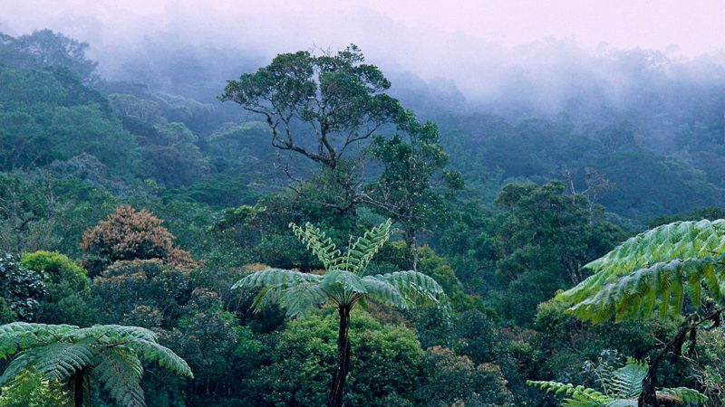 via ferrata guide kinabalu ---bernard-dupon