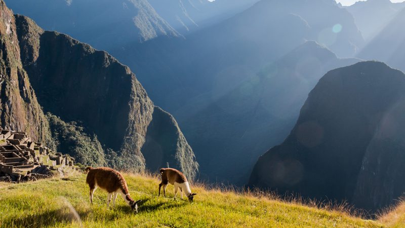 moral-dilemmas-travel---eder-fortunato