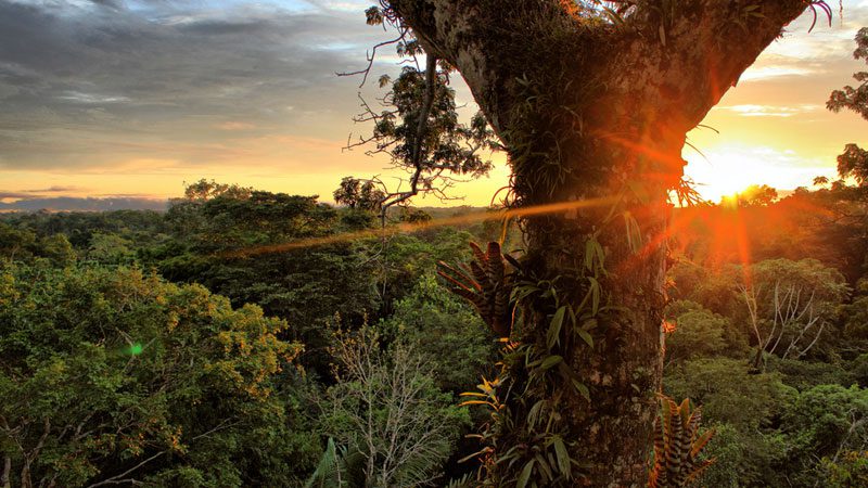amazon homestay shiripuno lodge ---Sara-y-Tzunki