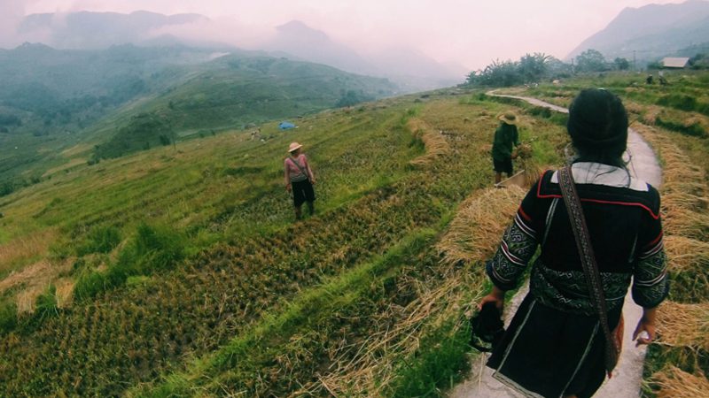 hmong---sapa-hills