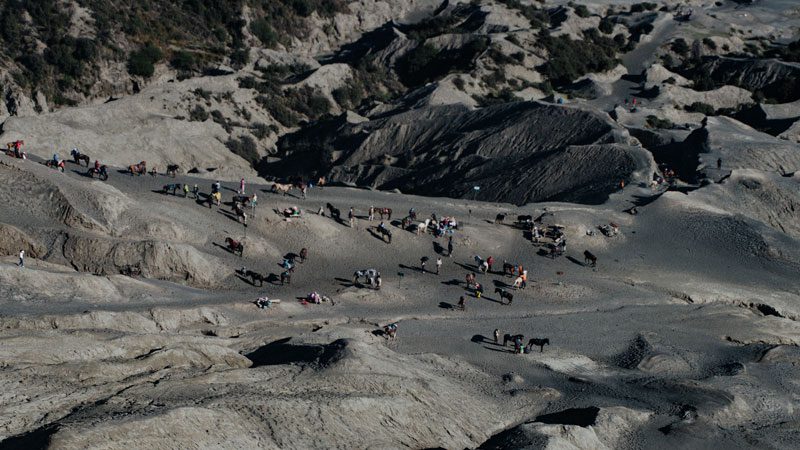 mt-bromo-indonesia-horses-unsplash