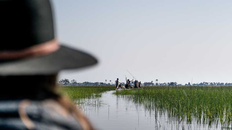 okavango-np-mokoro-river-the-common-wanderer
