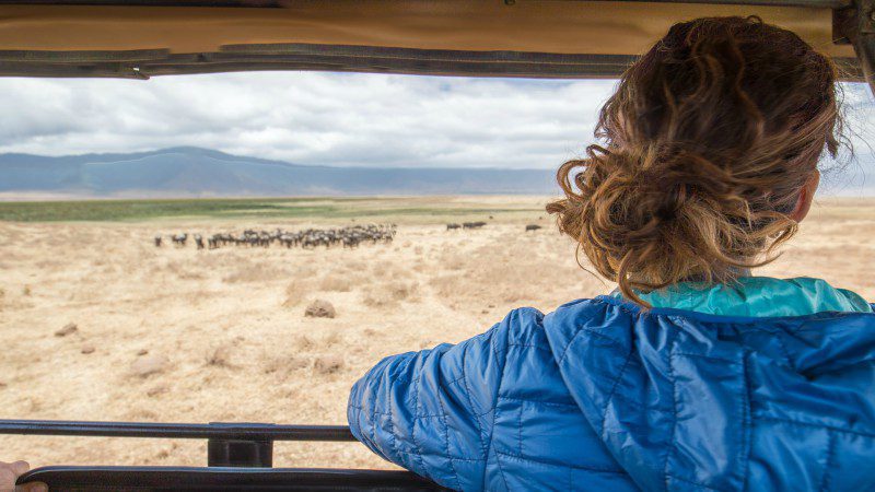 Watching wildebeest in Ngorongoro Crater