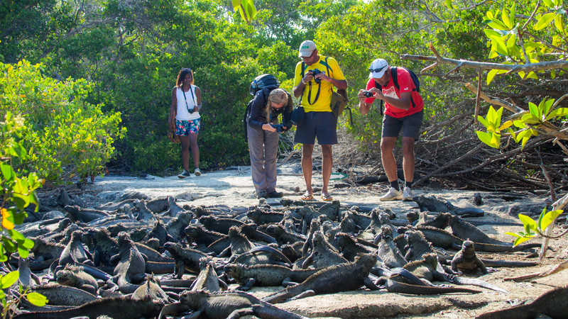 Don't forget to pack a camera and extra batteries.