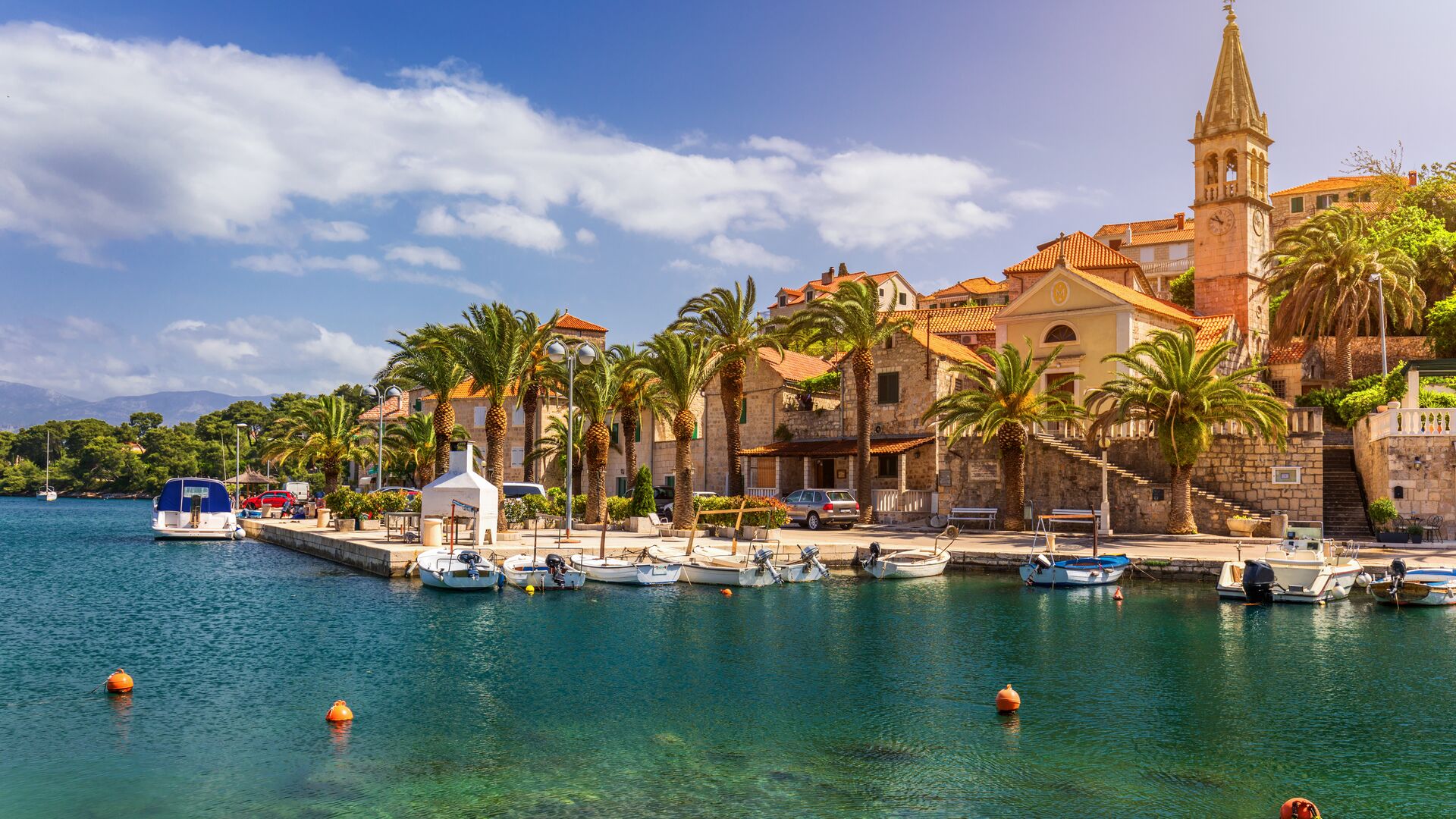 Green waters in the harbour with boats, palm fringed walkway giving way to orange town