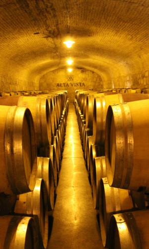 Wine cellar in Mendoza