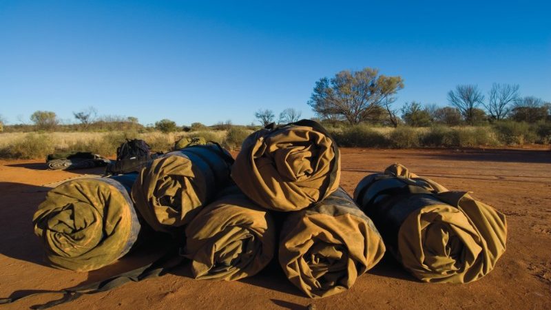 swags in an Aussie bush camp