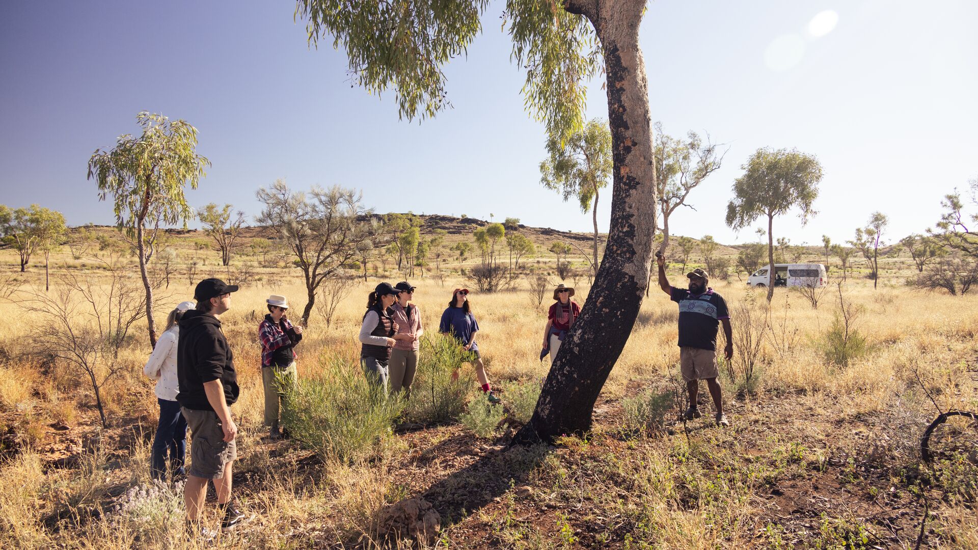 A cultural tour led by an Aboriginal guide who's describing the history of the trees.