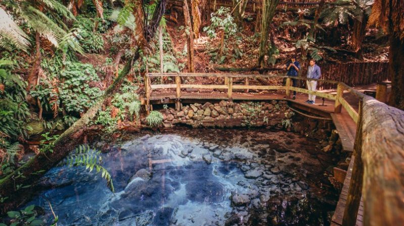 Travellers looking at freshwater spring on boardwalk