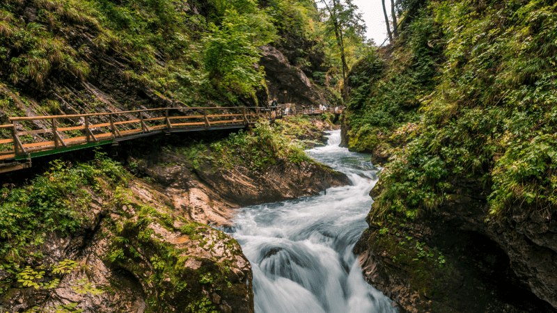Walking along the Vintgar gorge in Slovenia