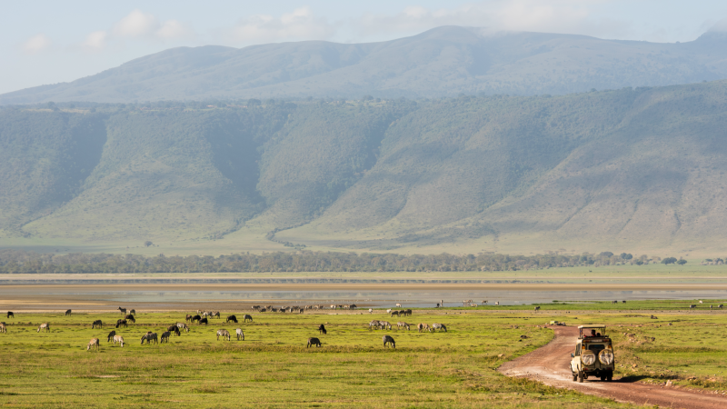 Driving across the Ngorongoro Crater, Tanzania