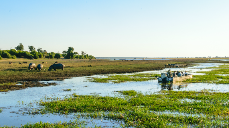 River cruise in Chobe National Park, Botswana