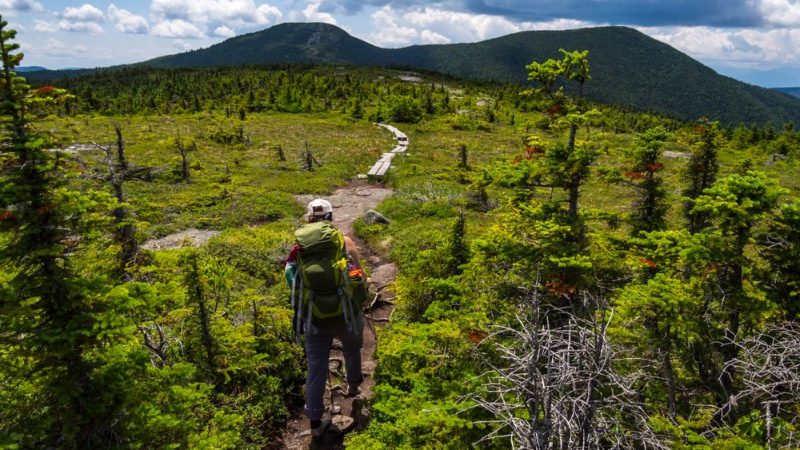 Hiker on the Appalachian Trail