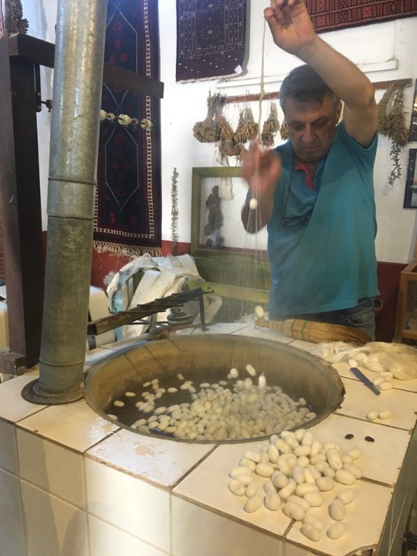 The silk cocoons in a vat