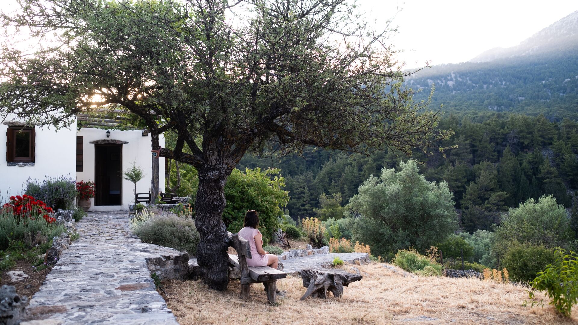 A traveller sat under a tree at a traditional guesthouse in the foothills of the White Mountains, Crete