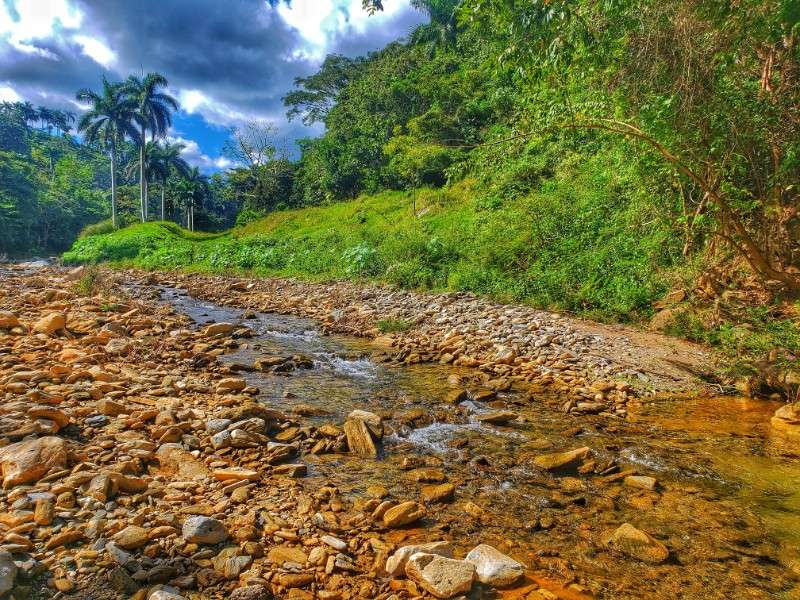 Cuba unexpected magic