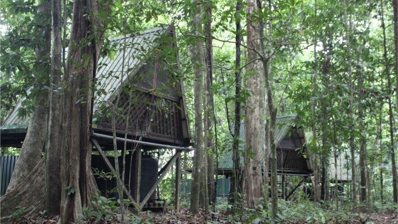 Huts in Borneo