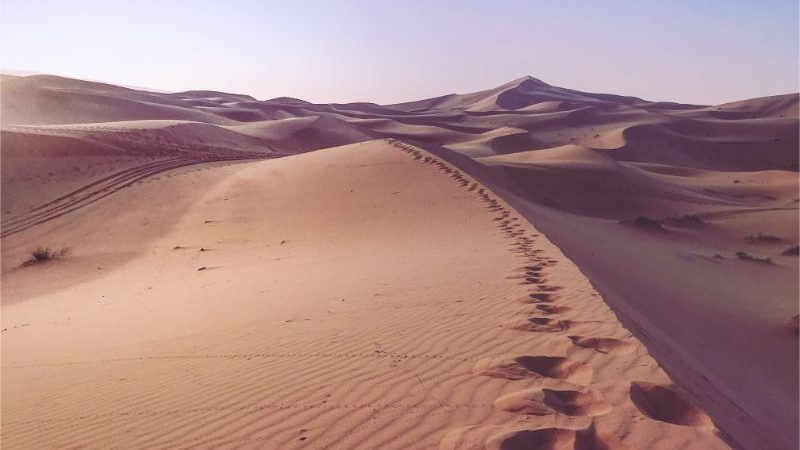 A trail of footprints in the sand
