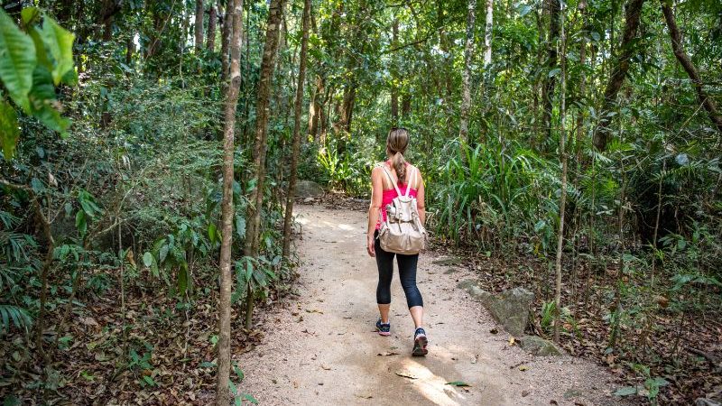 Traveller walking in Mossman Gorge