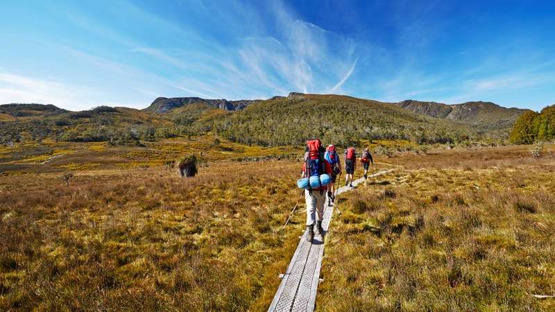 hikers walking through national park