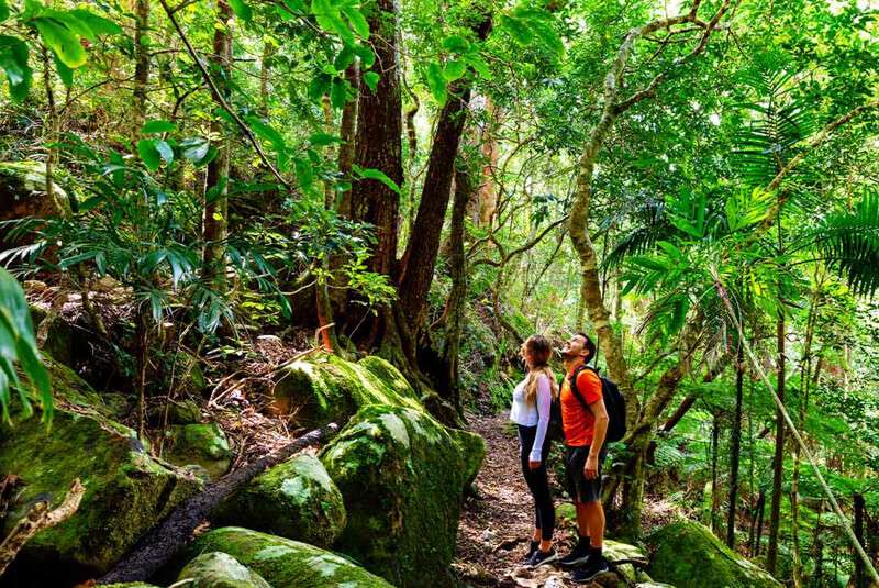 Queensland Australia people exploring Lamington