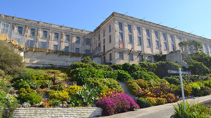Gardens on Alcatraz Island.
