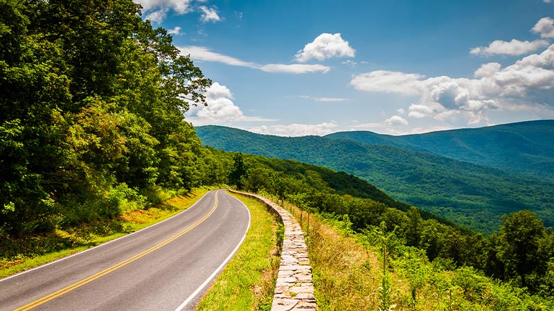 Scenery along Skyline Drive