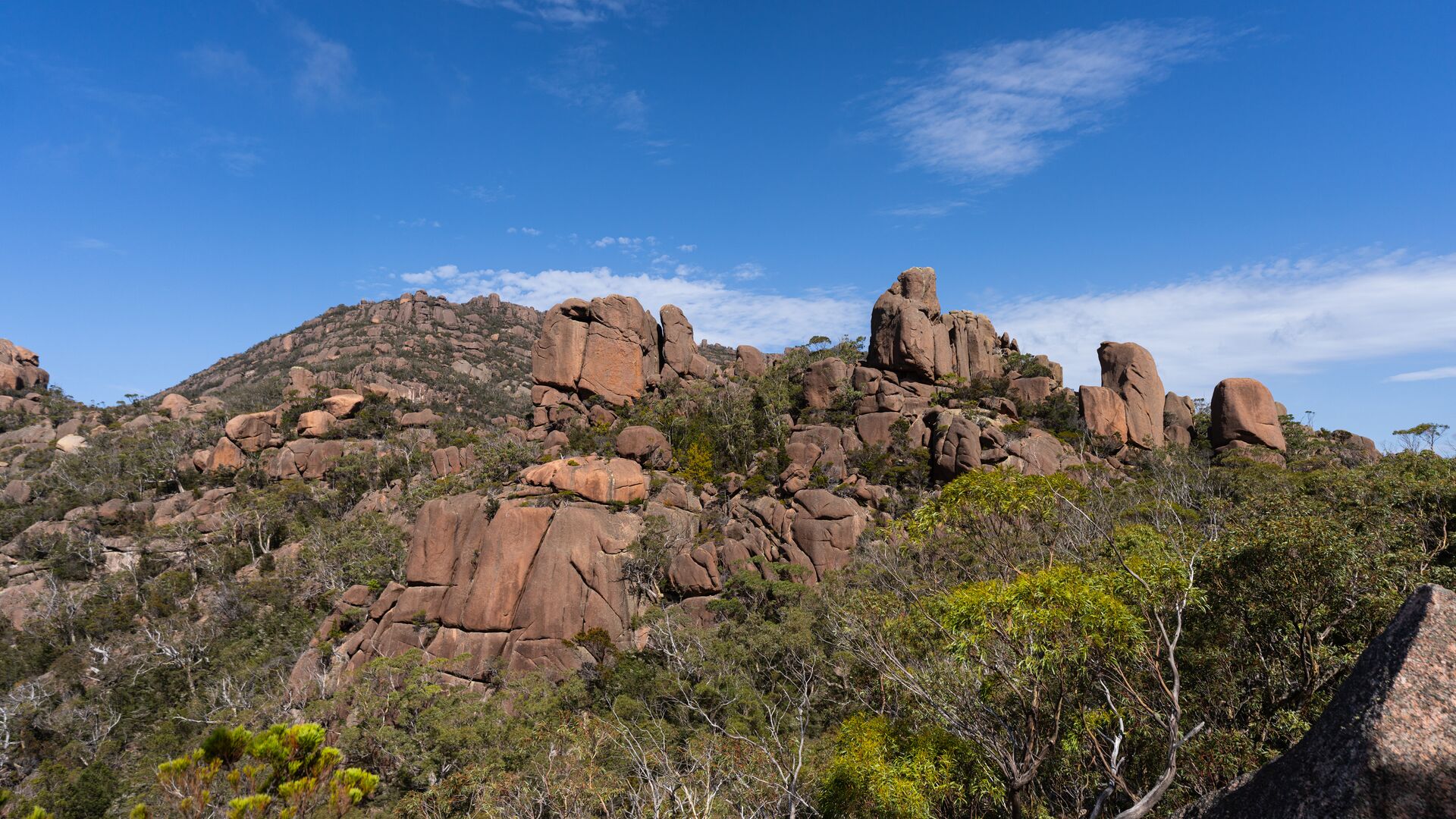 A view of boulders on a hill in Freycinet National Park.
