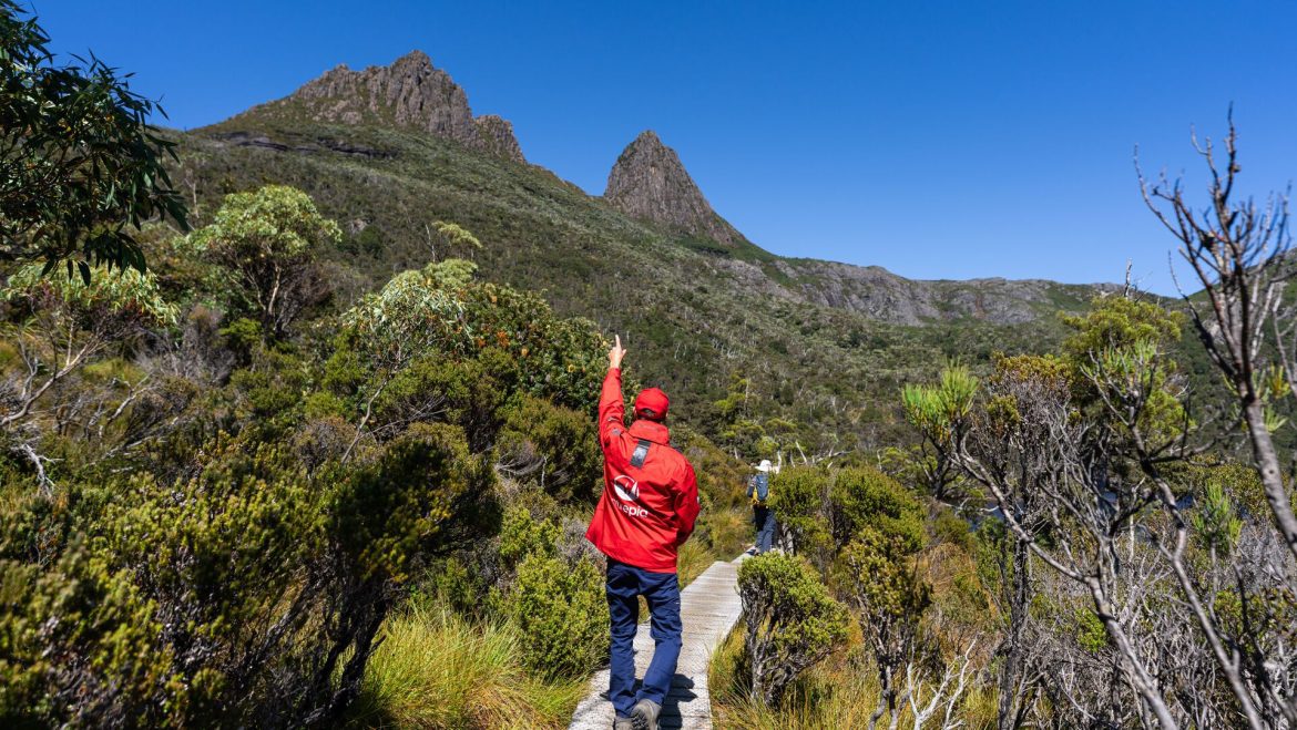 An Intrepid eader in red jacket points up to Cradle Mountain