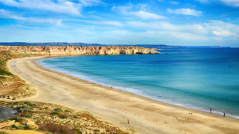 A scenic view of Maslin Beach on a clear day