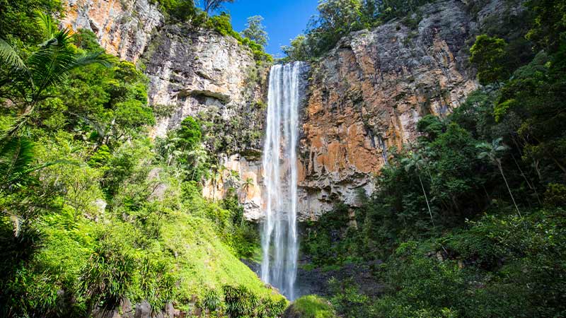 Purling Brook Falls Gold Coast